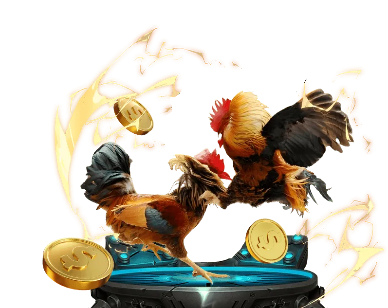 Hình ảnh minh họa các mẹo tăng tỷ lệ thắng trong cá cược thể thao